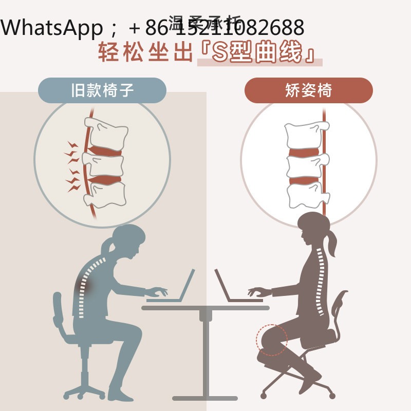 LLY オフィスチェア、人間工学に基づいた姿勢矯正チェア、ニ - Office Chair のレビューと価格